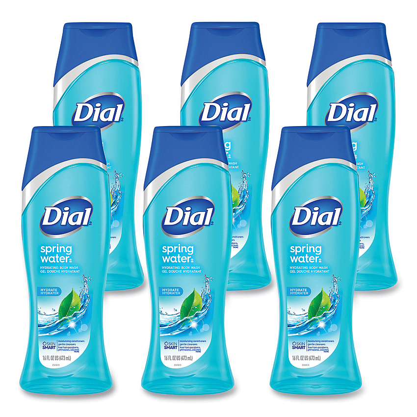 Dial Body Wash, Spring Water Scent, 16 oz, 6/Carton (DIA02653)