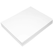 Epson Somerset Velvet Fine Art Paper, 36 x 44, White, 10/Pack (EPSSP91201)