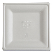Eco-Products Vanguard Renewable and Compostable Sugarcane Plates, 10 x 10, White, 250/Carton (ECOEPP023NFA)