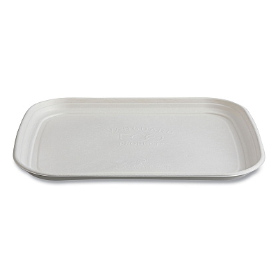 Eco-Products Regalia Sugarcane Servingware, Platter, 13 x 17, White, 100/Carton (ECOEPSCTR1317NF)