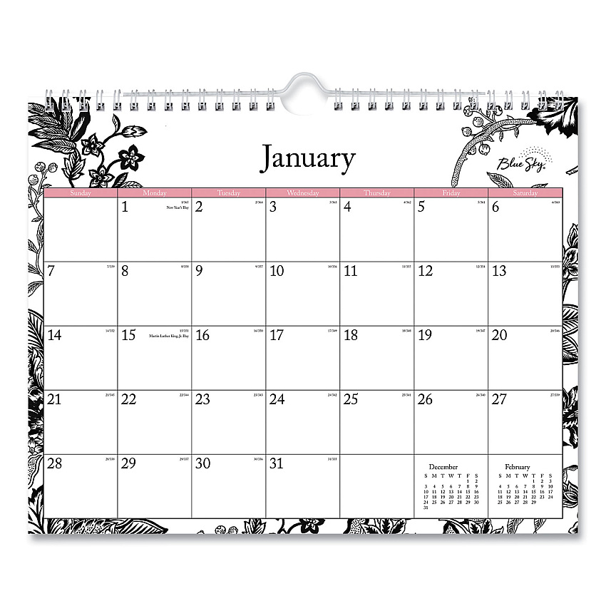 Blue Sky Analeis Wall Calendar, Floral Artwork, 11 x 8.75, White/Black/Coral Sheets, 12-Month (Jan to Dec): 2026 (100028)
