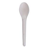 Eco-Products Plantware Compostable Cutlery, Spoon, 6", White, 1,000/Carton (ECOEPS013W)