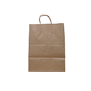 Solupac Take Out Twist Handle Bag, Natural Twisted-Paper Handles, 12" x 9" x 15.75", Natural, 200/Carton (TDPTKNTAOUDE)