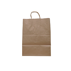 Solupac Take Out Twist Handle Bag, Natural Twisted-Paper Handles, 12" x 9" x 15.75", Natural, 200/Carton (TDPTKNTAOUDE)
