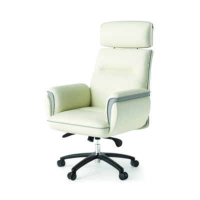 Eureka Royal Executive Office Chair, Support up to 300 lb, 19.46"-22.26" Seat Height, White PU Leather Seat, White Faux Leather Back (EKAOC003OW)