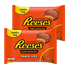 Reese's Snack Size Peanut Butter Cups, 19.5 oz Bag, 2 Bags/Carton (GRR60004058)