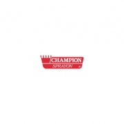 Chase Products Champion Sprayon Air  Frshnr 15Oz Spring Linen 12 (5176)