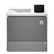 HP Gray 550 Sheet Paper Tray (65A32A)