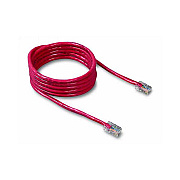 Belkin 3ft Cat5e Patch Cable Red (A3L79103RED)