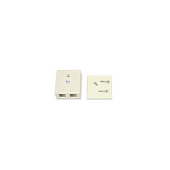 Belkin Ivory 2 Position Surface Mounting Box (F4E485)