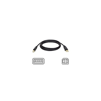 Tripp Lite 6ft Usb Cable Hi-speed Usb 2.0 A/b M/m (U022006)