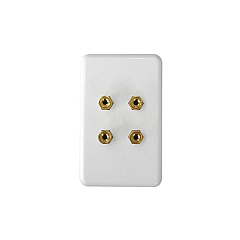SIIG Two Speaker Wall Plate (CBAU1212S1)
