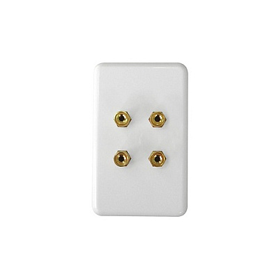 SIIG Two Speaker Wall Plate (CBAU1212S1)
