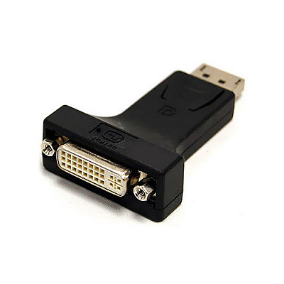 Bytecc Displayport Male To Dvi Female Adaptor (APDPDVI)