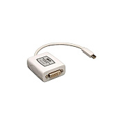 Tripp Lite by Eaton Keyspan Mini DisplayPort to DVI Adapter, Video Converter for Mac/PC, White (M/F), 6-in. (15.24 cm) (P13706NDVI)