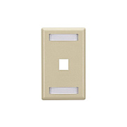 Black Box Keystone Wallplate - Single-gang, 1-port, Ivory, Gsa, Taa (WPT454)