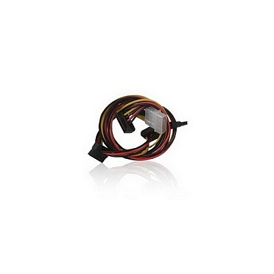 Istarusa 1power/ L Female X4 Sata (ATCM24S)