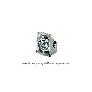 Viewsonic Pjd5123,5223,5523replacement Lamp Module (RLC072)