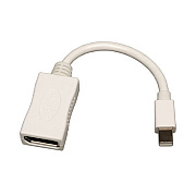 Tripp Lite 6in Mini Dp To Dp Adapter Mdp To Dp M/f (P13906NDP)