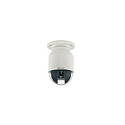 Everfocus Electronics 30x Indoor Ptz, Wall Mount (EPTZ3100I)