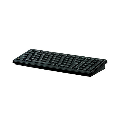 Panasonic Ikey Nema 4x 101-key Keyboard (SLK101MUSBP)