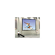 DA-Lite Screen F/f Hd Dlx,dmbb F 8-6x14-4 (99794)