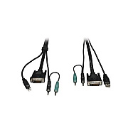 Tripp Lite 6ft Dvi Usb Audio Kvm Cable Kit (P759006)