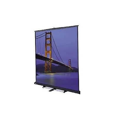 DA-Lite Screen Model C Floor Stand,carpet (78126)