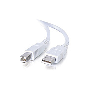 C2G Cables To Go 15 Ft Usb2.0 A/b Cable (13401)