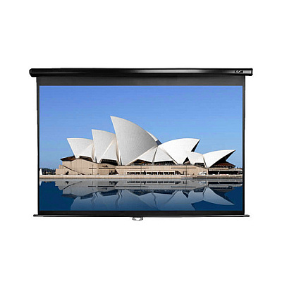 Elite Screens Manual Pull Down Projector Screen (M113NWS1)