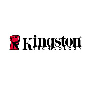 Kingston Flash Accessory/lanyard - 100 Pack (FALYD100P)