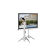 Elite Screens Tripod Pull Up Projector Screen (T100UWV1)