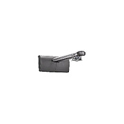 Chief Manufacturing St Proj. Wall Mount, 2in Ext + Rsaus (WP21US)