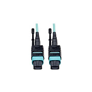 Tripp Lite 10m Mtp/mpo Mmf 12fiber Cable Om3 Plenum (N84410M12P)