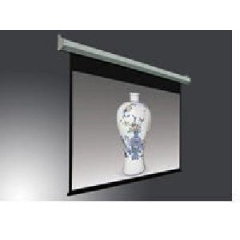 Inland Products Projection Electric Screen100in 16:9 (5355)