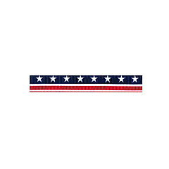 Brady People ID 5/8in B/a W/2c Dye Sub Instars/stripesin (21385081)