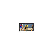 Elite Screens 120inch (16:9) (M120UWH2)