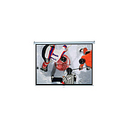Elite Screens 120inch (4:3) (M120XWV2)