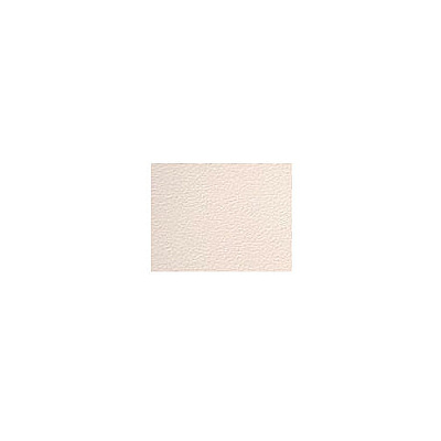 Elite Screens Fixed Frame Screen Material ( ZR100WVM)