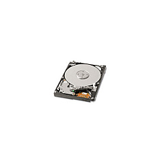 Tpcast Us 200gb 7200rpm Sata Hard Drive (HDD2E11)