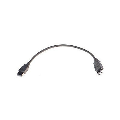 Brainboxes Usb Type A Plug To A Receptacle 0.25m Ca (US045)