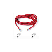 Belkin 4ft Cat5e Patch Cable Red (A3L79104RED)