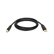 Tripp Lite 10ft Usb Cable Hi-speed Usb 2.0 A/b M/m (U022010R)