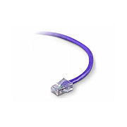 Belkin 2ft Cat5e Patch Cable Purple (A3L79102PUR)