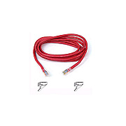 Belkin Cat5e Patch Cable (A3L79102RED)