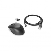 HP Sbuy Wireless Premium Mouse Us (1JR31UT#ABA)