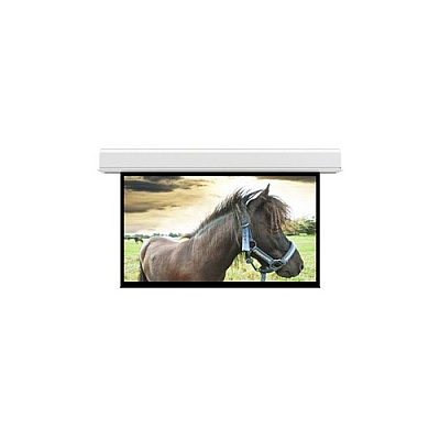 DA-Lite Screen Advantage 243d 119x212 Mw (36981L)