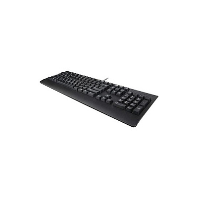 Lenovo Kb Mice_bo Preferred Keyboard (4X30M86903)