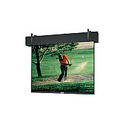 DA-Lite Screen Professional 20x20 Mw (81630)