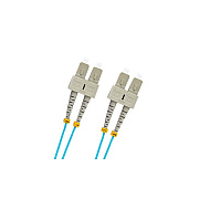 Weltron 2 Meter Sc/sc 50 Micron 10gig Aqua Mm (9021022M)